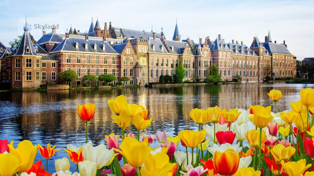 Binnenhof in The Hague with tulips in the foreground