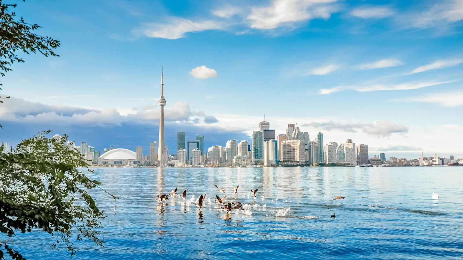 Toronto skyline across Lake Ontario