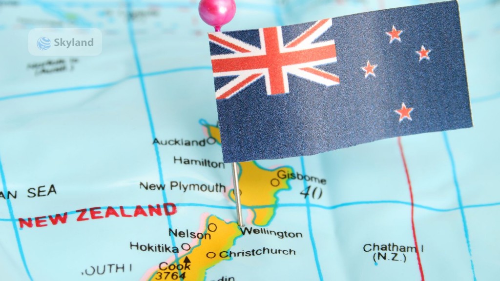 New Zealand flag with an airplane pin