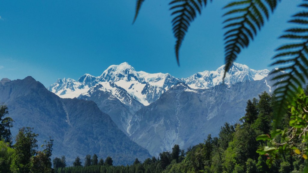 Snow-capped Southern Alps framed by silver ferns