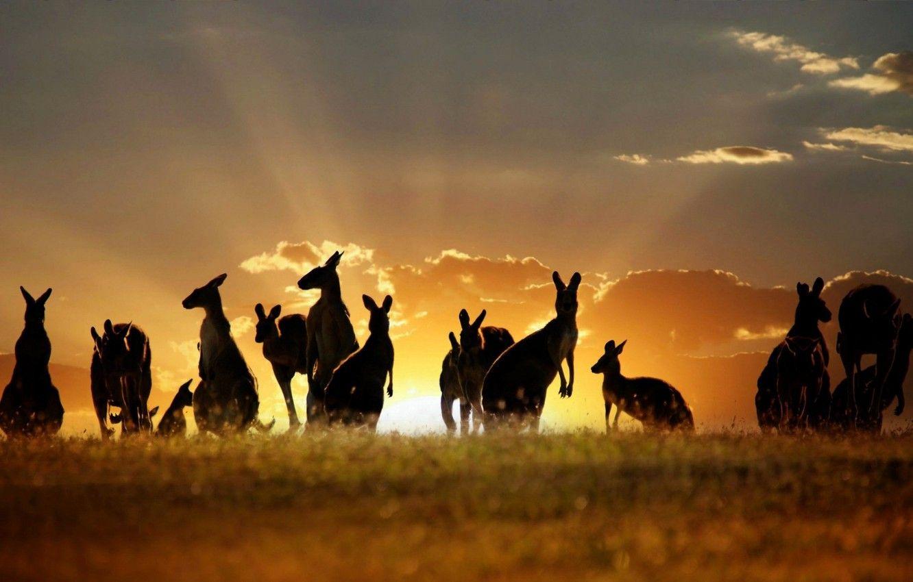 Genuine Student requirement for studying in Australia