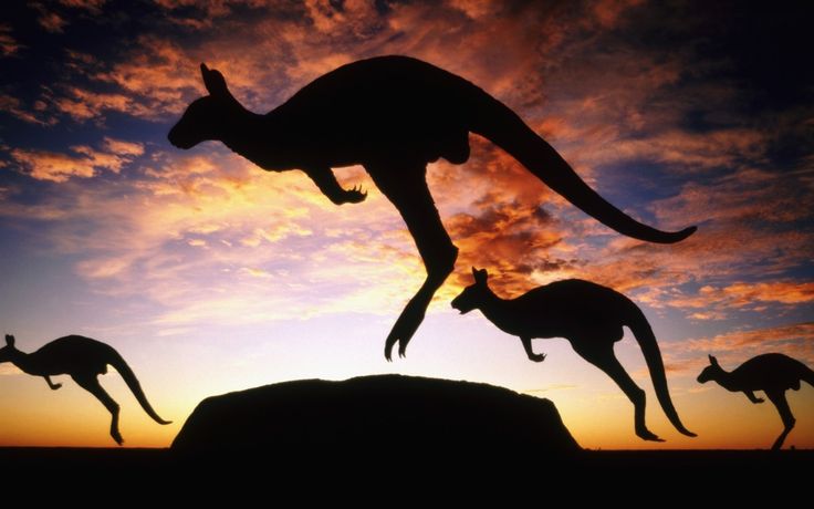 Health and character requirements for an Australia student visa