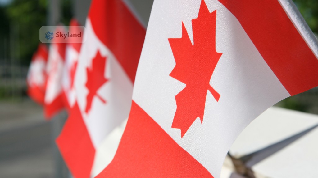 Row of Canadian flags outdoors