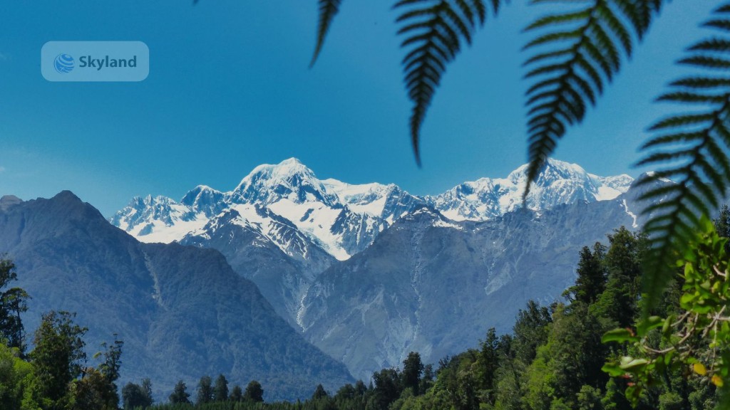 Snow-capped Southern Alps framed by silver ferns